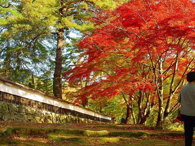 Tabist Hana Hotel Takinoya Aizu-Yanaizu 外观 照片